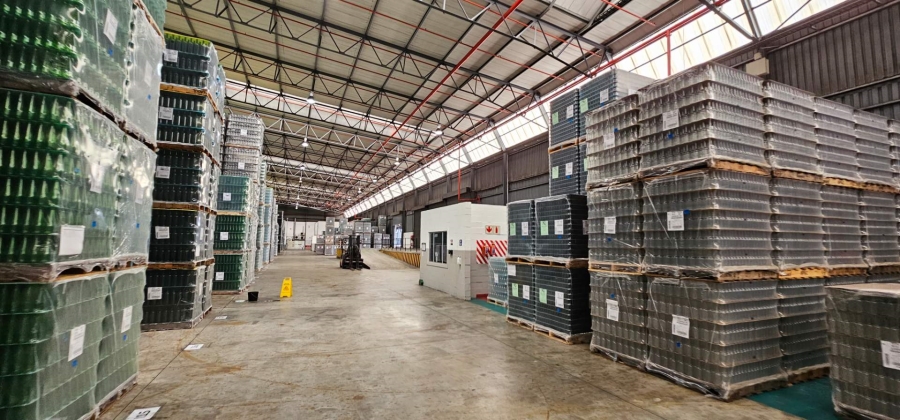 To Let commercial Property for Rent in Parow Industrial Western Cape